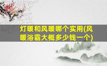 灯暖和风暖哪个实用(风暖浴霸大概多少钱一个)