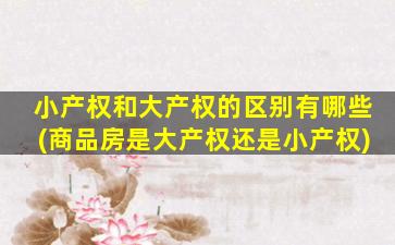 小产权和大产权的区别有哪些(商品房是大产权还是小产权)