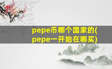 pepe币哪个国家的(pepe一开始在哪买)
