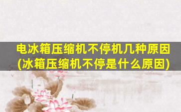 电冰箱压缩机不停机几种原因(冰箱压缩机不停是什么原因)