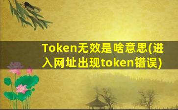 Token无效是啥意思(进入网址出现token错误)