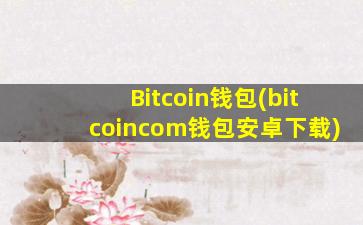 Bitcoin钱包(bitcoincom钱包安卓下载)