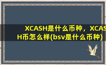 XCASH是什么币种，XCASH币怎么样(bsv是什么币种)