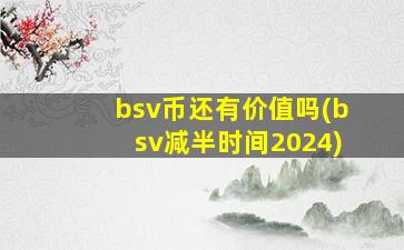 bsv币还有价值吗(bsv减半时间2024)