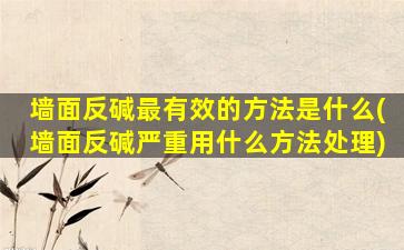 墙面反碱最有效的方法是什么(墙面反碱严重用什么方法处理)