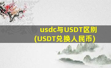 usdc与USDT区别(USDT兑换人民币)