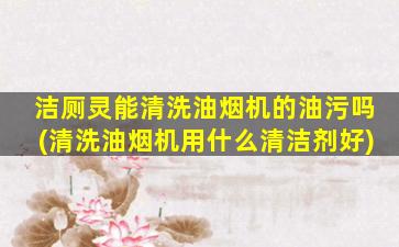 洁厕灵能清洗油烟机的油污吗(清洗油烟机用什么清洁剂好)