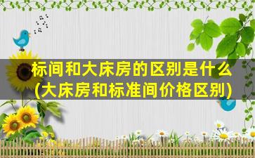 标间和大床房的区别是什么(大床房和标准间价格区别)