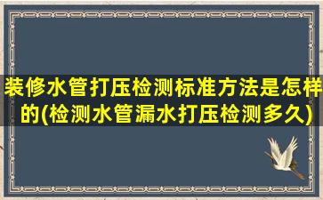 装修水管打压检测标准方法是怎样的(检测水管漏水打压检测多久)