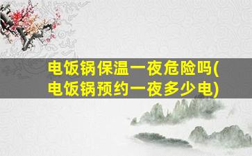电饭锅保温一夜危险吗(电饭锅预约一夜多少电)