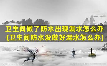 卫生间做了防水出现漏水怎么办(卫生间防水没做好漏水怎么办)