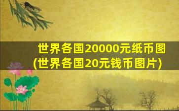 世界各国20000元纸币图(世界各国20元钱币图片)