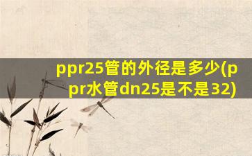 ppr25管的外径是多少(ppr水管dn25是不是32)