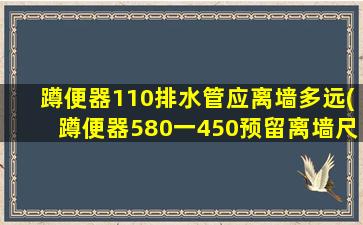 蹲便器110排水管应离墙多远(蹲便器580一450预留离墙尺寸)