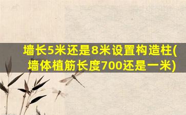 墙长5米还是8米设置构造柱(墙体植筋长度700还是一米)