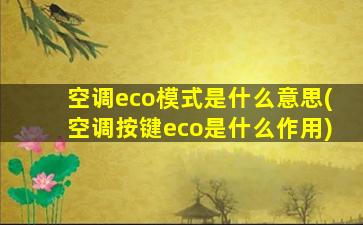 空调eco模式是什么意思(空调按键eco是什么作用)