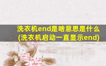 洗衣机end是啥意思是什么(洗衣机启动一直显示end)