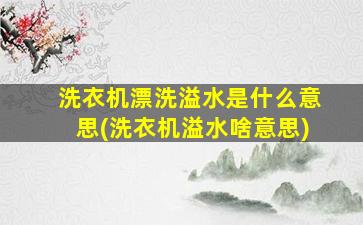 洗衣机漂洗溢水是什么意思(洗衣机溢水啥意思)