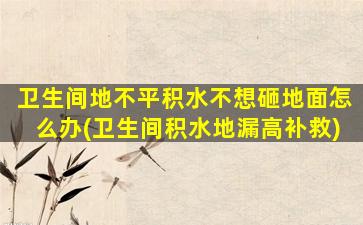 卫生间地不平积水不想砸地面怎么办(卫生间积水地漏高补救)