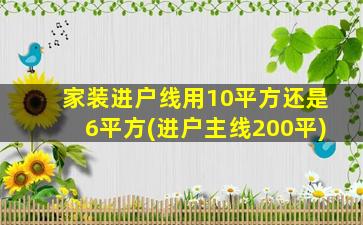 家装进户线用10平方还是6平方(进户主线200平)