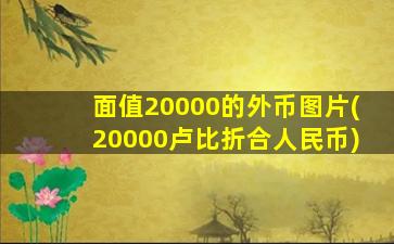 面值20000的外币图片(20000卢比折合人民币)