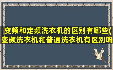 变频和定频洗衣机的区别有哪些(变频洗衣机和普通洗衣机有区别吗)