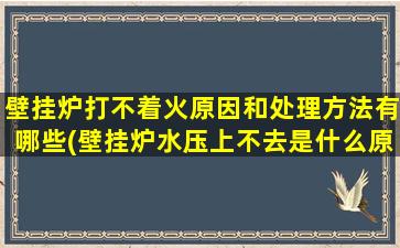 壁挂炉打不着火原因和处理方法有哪些(壁挂炉水压上不去是什么原因)