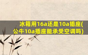 冰箱用16a还是10a插座(公牛10a插座能承受空调吗)