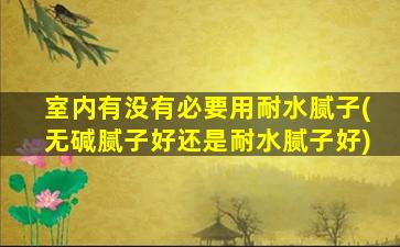 室内有没有必要用耐水腻子(无碱腻子好还是耐水腻子好)