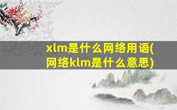 xlm是什么网络用语(网络klm是什么意思)