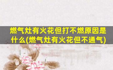 燃气灶有火花但打不燃原因是什么(燃气灶有火花但不通气)