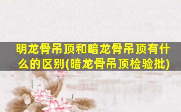明龙骨吊顶和暗龙骨吊顶有什么的区别(暗龙骨吊顶检验批)
