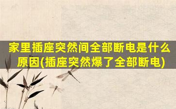 家里插座突然间全部断电是什么原因(插座突然爆了全部断电)