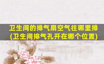 卫生间的排气扇空气往哪里排(卫生间排气孔开在哪个位置)