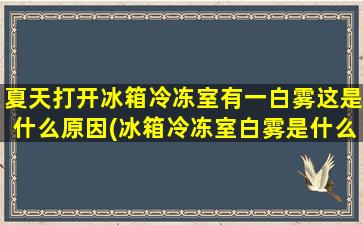 夏天打开冰箱冷冻室有一白雾这是什么原因(冰箱冷冻室白雾是什么)