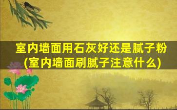 室内墙面用石灰好还是腻子粉(室内墙面刷腻子注意什么)