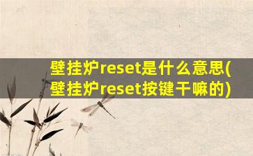 壁挂炉reset是什么意思(壁挂炉reset按键干嘛的)