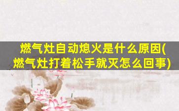 燃气灶自动熄火是什么原因(燃气灶打着松手就灭怎么回事)