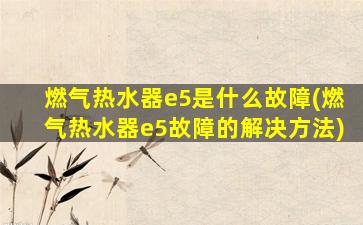 燃气热水器e5是什么故障(燃气热水器e5故障的解决方法)