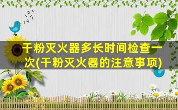 干粉灭火器多长时间检查一次(干粉灭火器的注意事项)