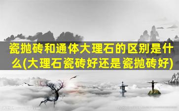 瓷抛砖和通体大理石的区别是什么(大理石瓷砖好还是瓷抛砖好)