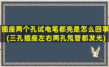 插座两个孔试电笔都亮是怎么回事(三孔插座左右两孔氖管都发光)