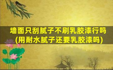 墙面只刮腻子不刷乳胶漆行吗(用耐水腻子还要乳胶漆吗)