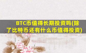 BTC币值得长期投资吗(除了比特币还有什么币值得投资)