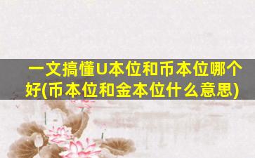 一文搞懂U本位和币本位哪个好(币本位和金本位什么意思)