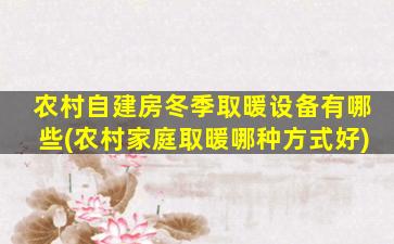 农村自建房冬季取暖设备有哪些(农村家庭取暖哪种方式好)