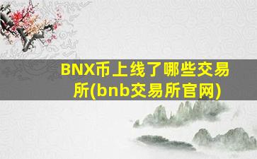 BNX币上线了哪些交易所(bnb交易所官网)