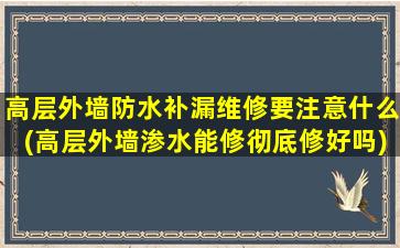 高层外墙防水补漏维修要注意什么(高层外墙渗水能修彻底修好吗)