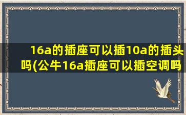 16a的插座可以插10a的插头吗(公牛16a插座可以插空调吗)