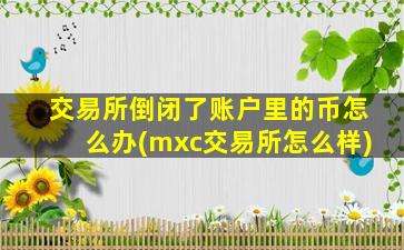 交易所倒闭了账户里的币怎么办(mxc交易所怎么样)